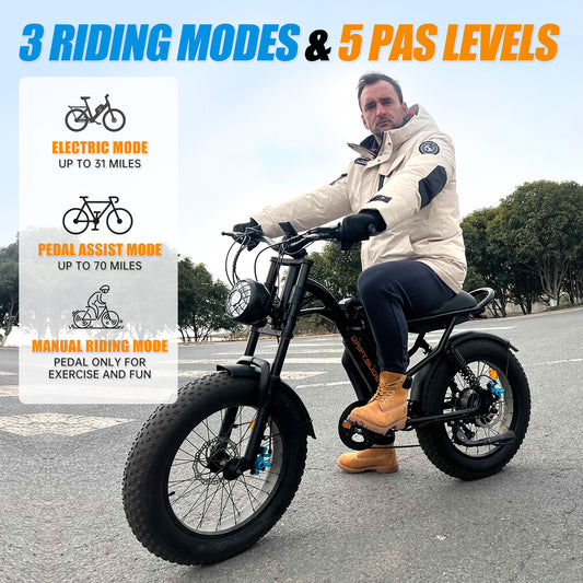 DRIFT.SLIDE J1 1500W Peak Power Electric Bike for Adults, Electric Off Road Bike, Top Speed 28 MPH, 50 Miles Electric Moped Style Bike, 48V 20.8 Ah Removable Battery, 7 Speed 20" All Terrain Fat Tire Ebike (J1)