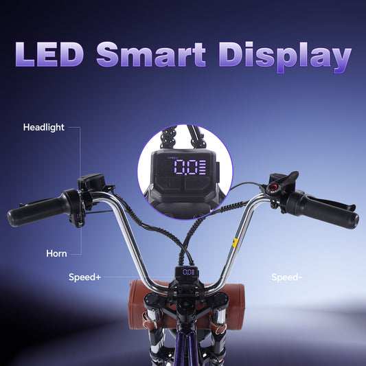 DS-9 Adult Electric Bike – Purple, Single-Speed, 1500W Peak Power, Top Speed 55 km/h, Equipped with 48V 20.8Ah Battery, 20" x 4" Fat Tires, High Stability and Strong Endurance.