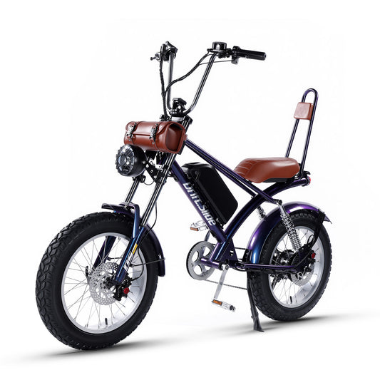 DS-9 Electric Bike