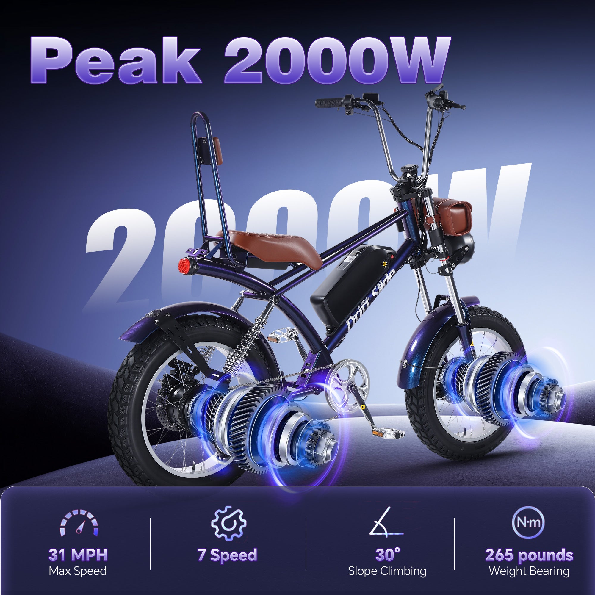 DS-9 Electric Bike