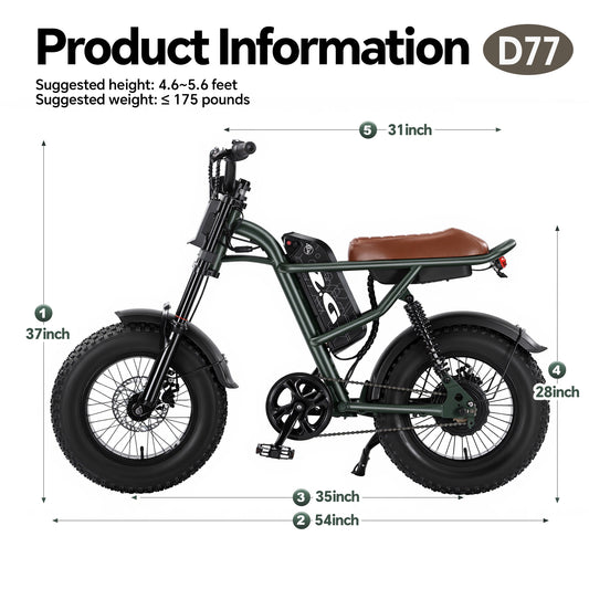 D77 Electric Bike