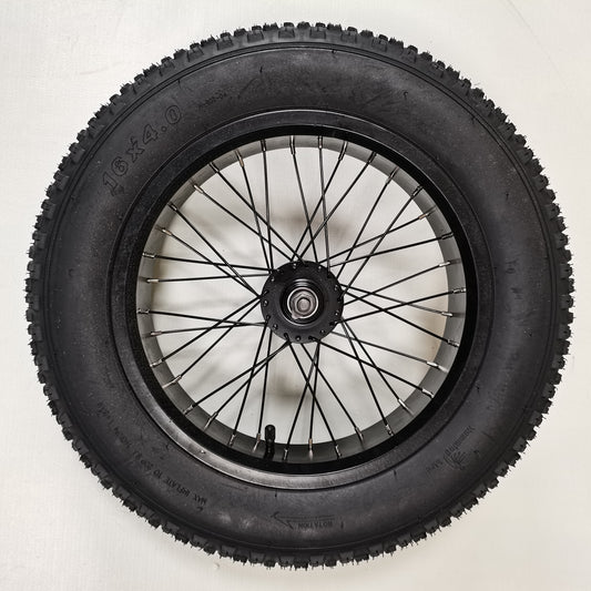 Front wheel for D77 electric bike
