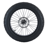 J1 20" All Terrain Fat Tire