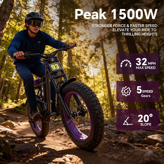 D93 Electric Bike
