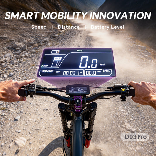 D93 Pro Electric Bike