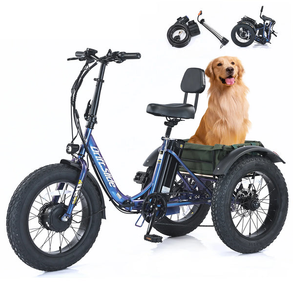 DS-3 Folding Electric Tricycle | 3-Wheel eBike for Adults | Large Cargo | Stable Ride
